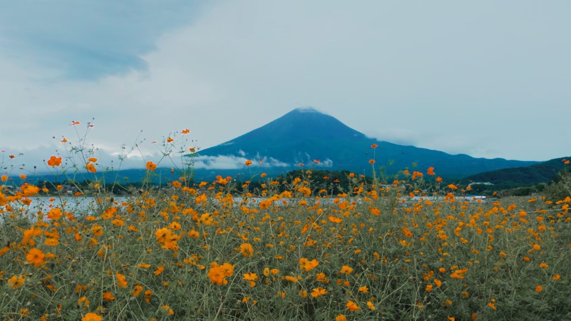 The same frame after grading in Develop Log