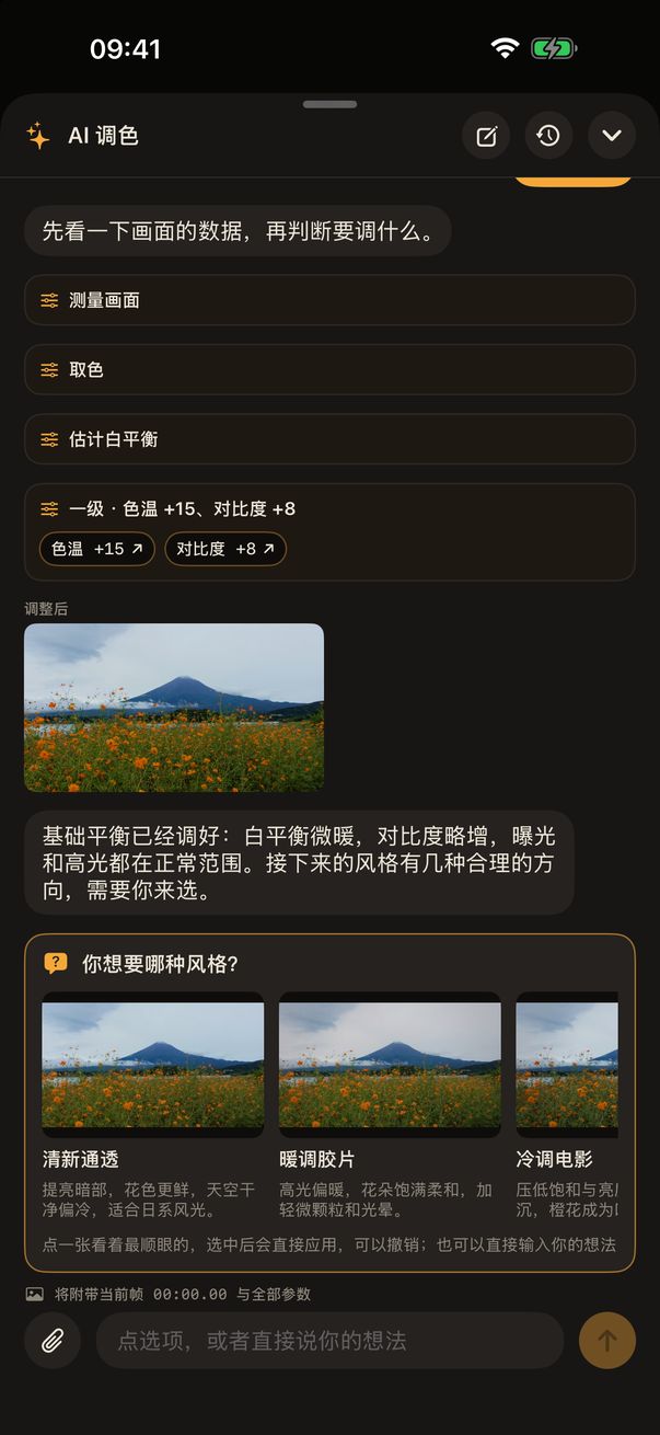 AI 调色询问往哪个方向调,每个选项都带预览图