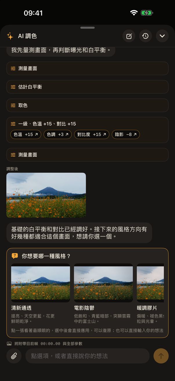 AI 調色詢問往哪個方向調,每個選項都帶預覽圖
